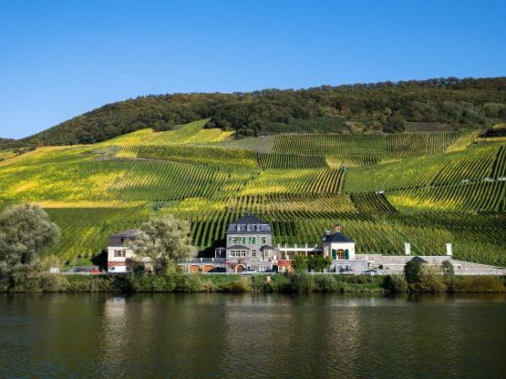 Alkoholfreier Wein Die Alternative Von Top Weing tern